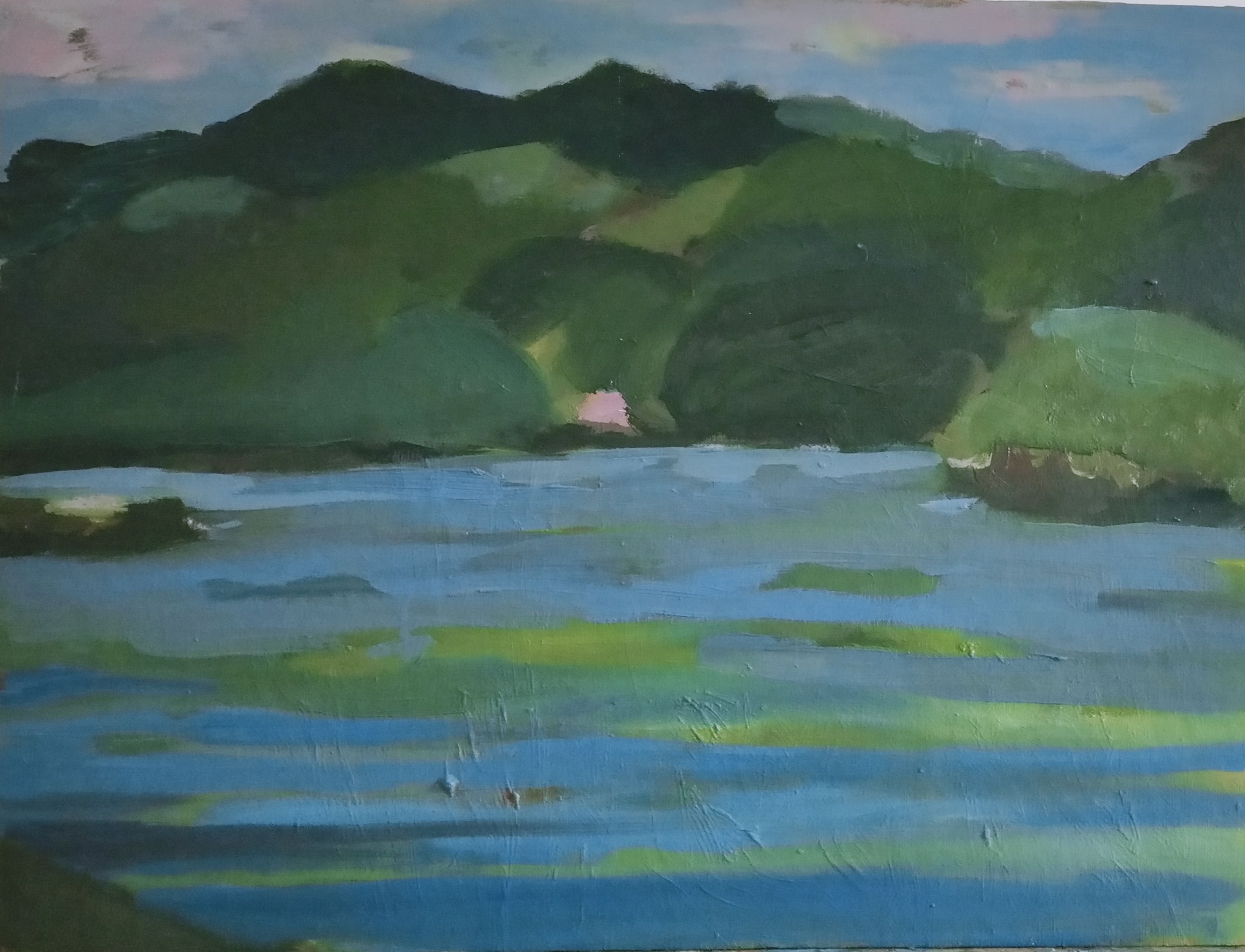L'île verte - 60X46 cm